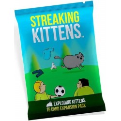 Streaking Kittens -...