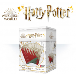 Harry Potter: Catch the...