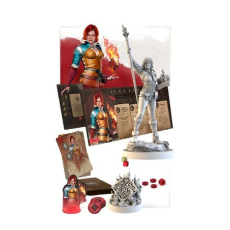 The Witcher: Path of...